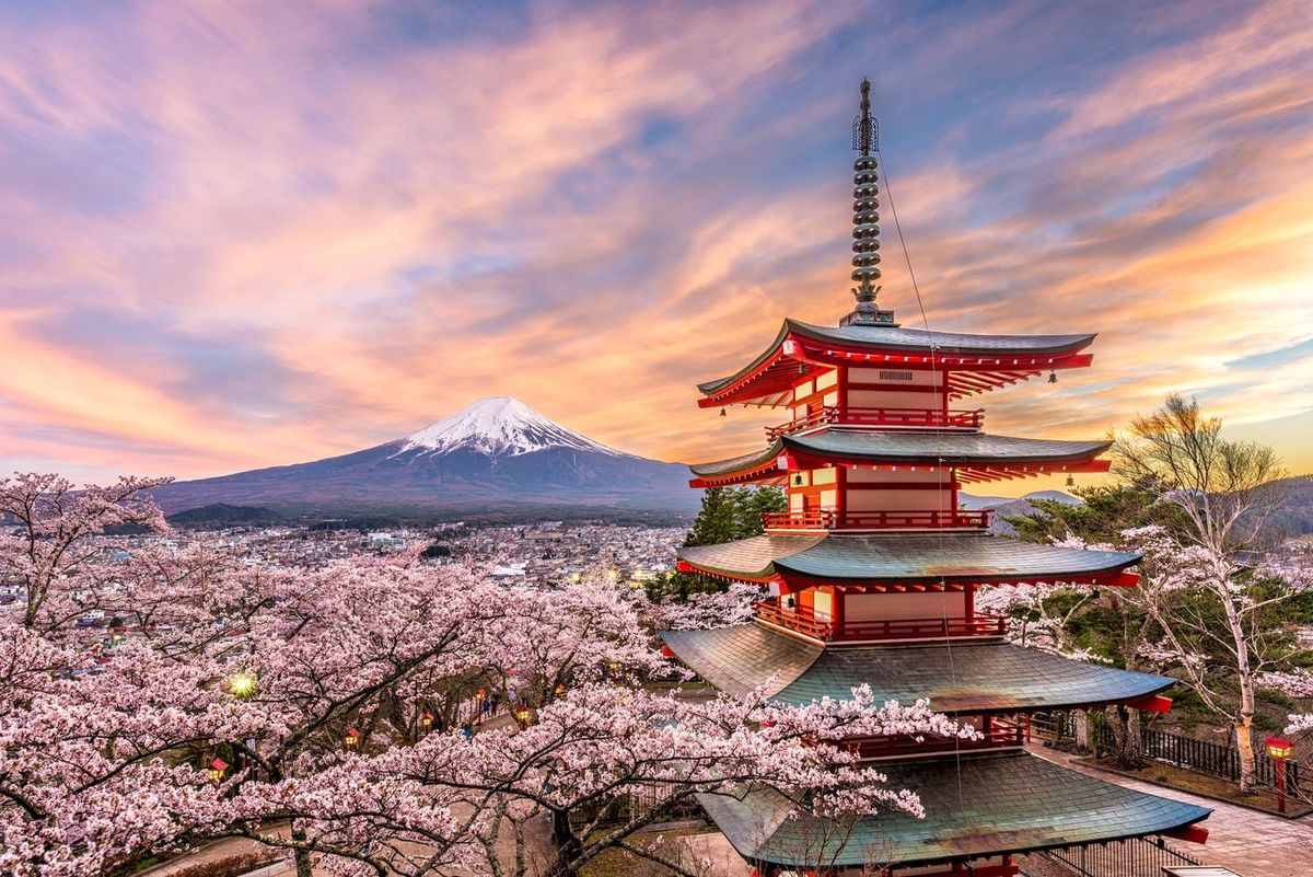 Kyoto Cultural Trip